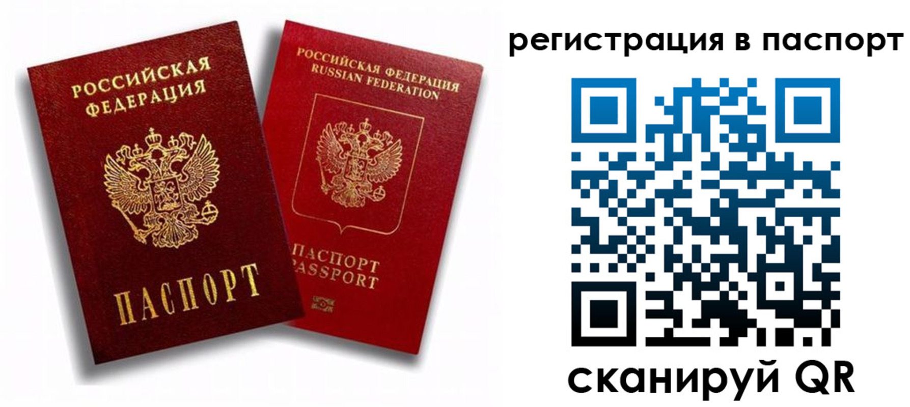 прописка 2025 в Смоленской области